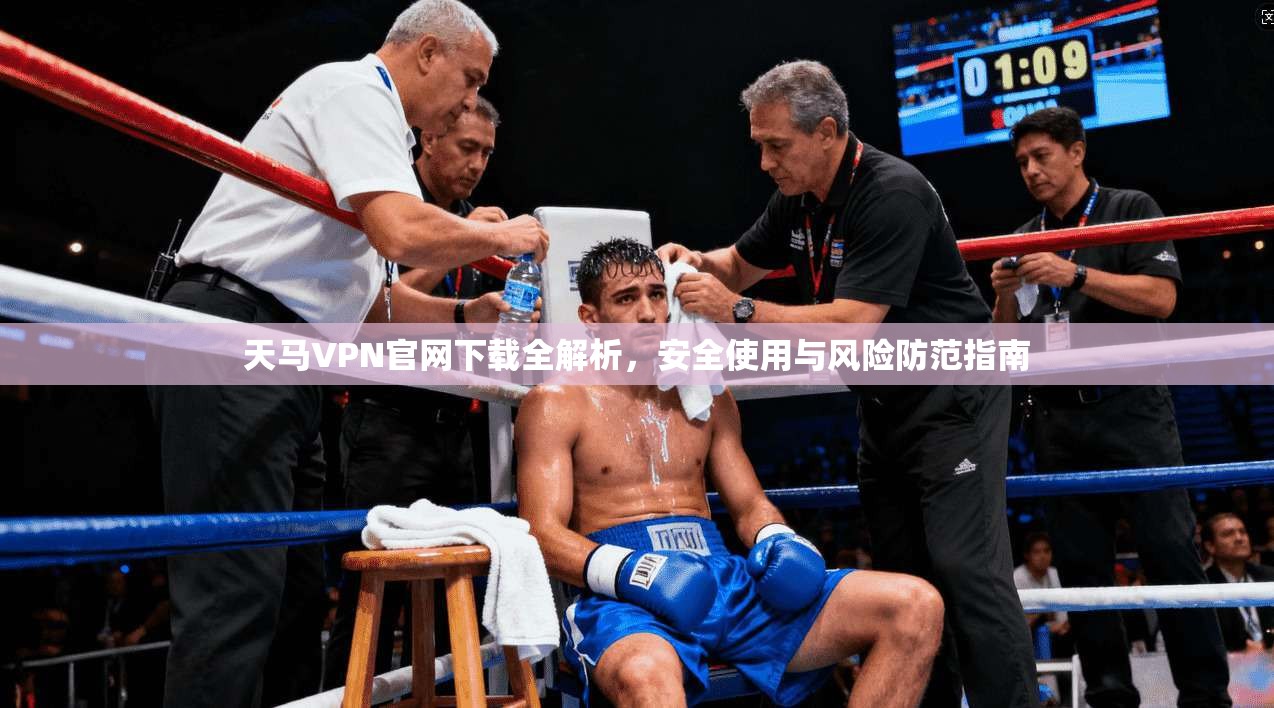 天马VPN官网下载全解析，安全使用与风险防范指南