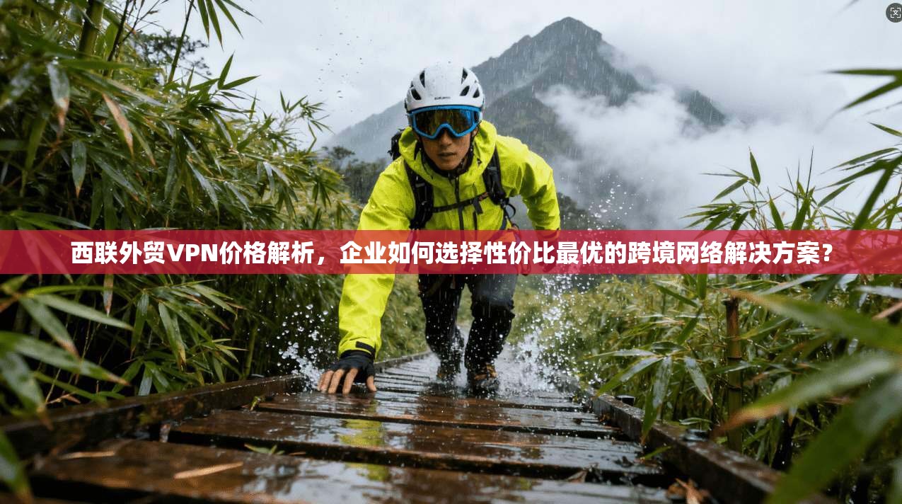 西联外贸VPN价格解析，企业如何选择性价比最优的跨境网络解决方案？