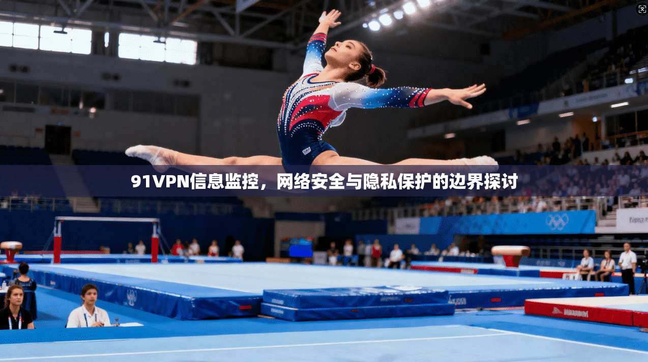 91VPN信息监控，网络安全与隐私保护的边界探讨
