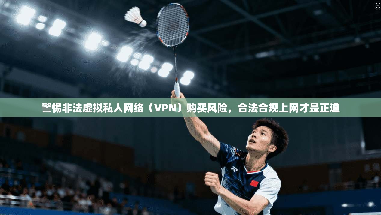 警惕非法虚拟私人网络（VPN）购买风险，合法合规上网才是正道