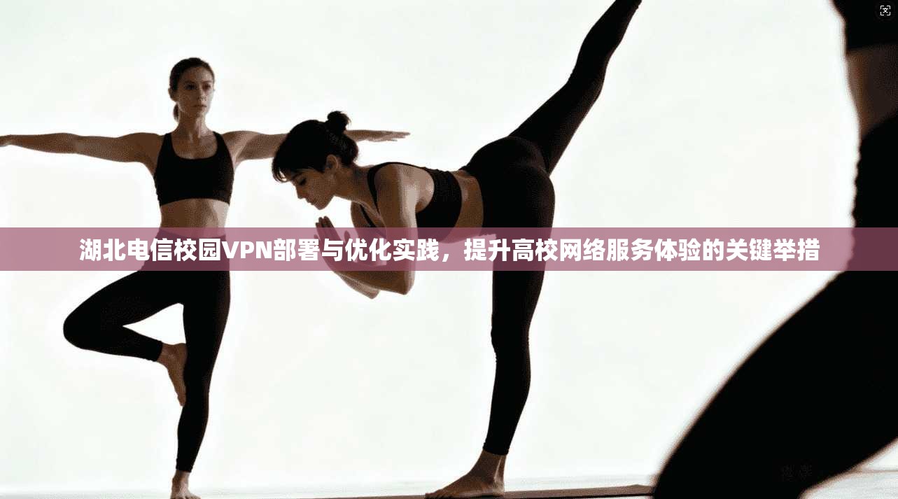 湖北电信校园VPN部署与优化实践，提升高校网络服务体验的关键举措