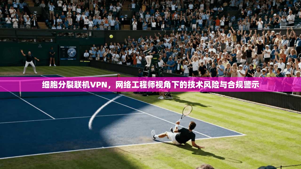 细胞分裂联机VPN，网络工程师视角下的技术风险与合规警示