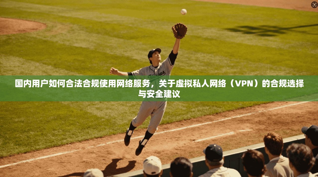 国内用户如何合法合规使用网络服务，关于虚拟私人网络（VPN）的合规选择与安全建议