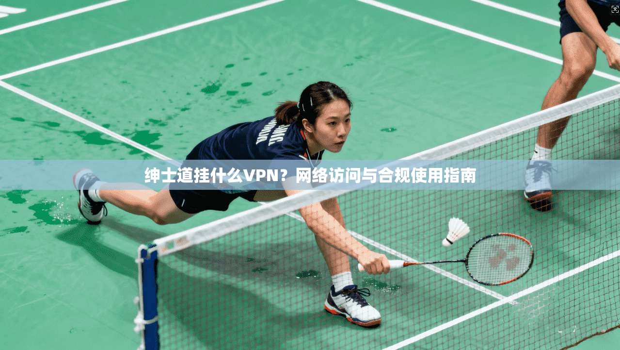 绅士道挂什么VPN？网络访问与合规使用指南