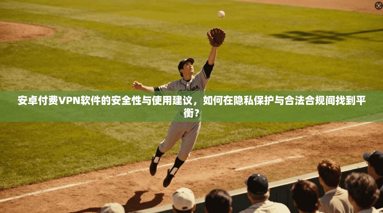 安卓付费VPN软件的安全性与使用建议，如何在隐私保护与合法合规间找到平衡？