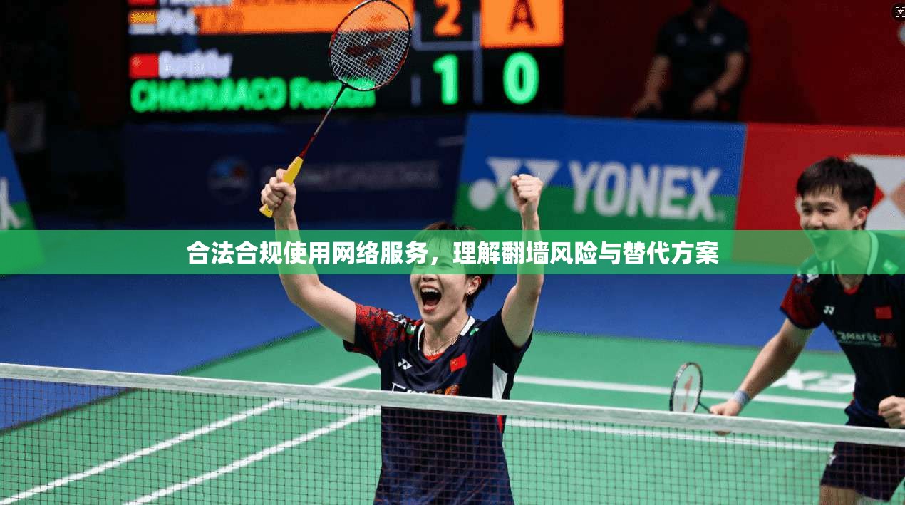 合法合规使用网络服务，理解翻墙风险与替代方案