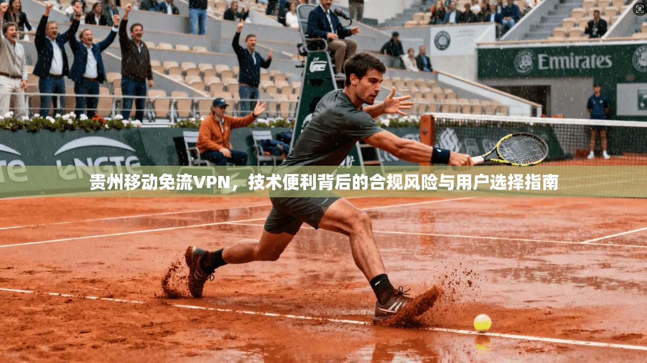贵州移动免流VPN，技术便利背后的合规风险与用户选择指南