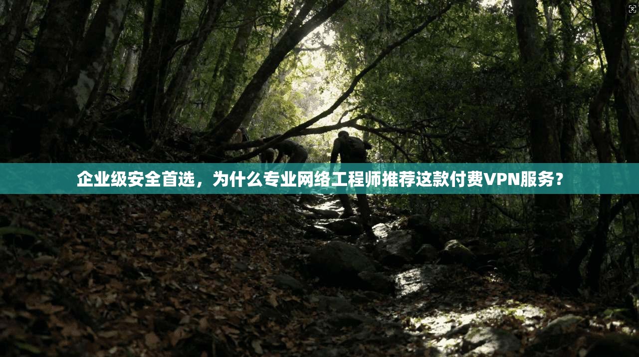 企业级安全首选，为什么专业网络工程师推荐这款付费VPN服务？