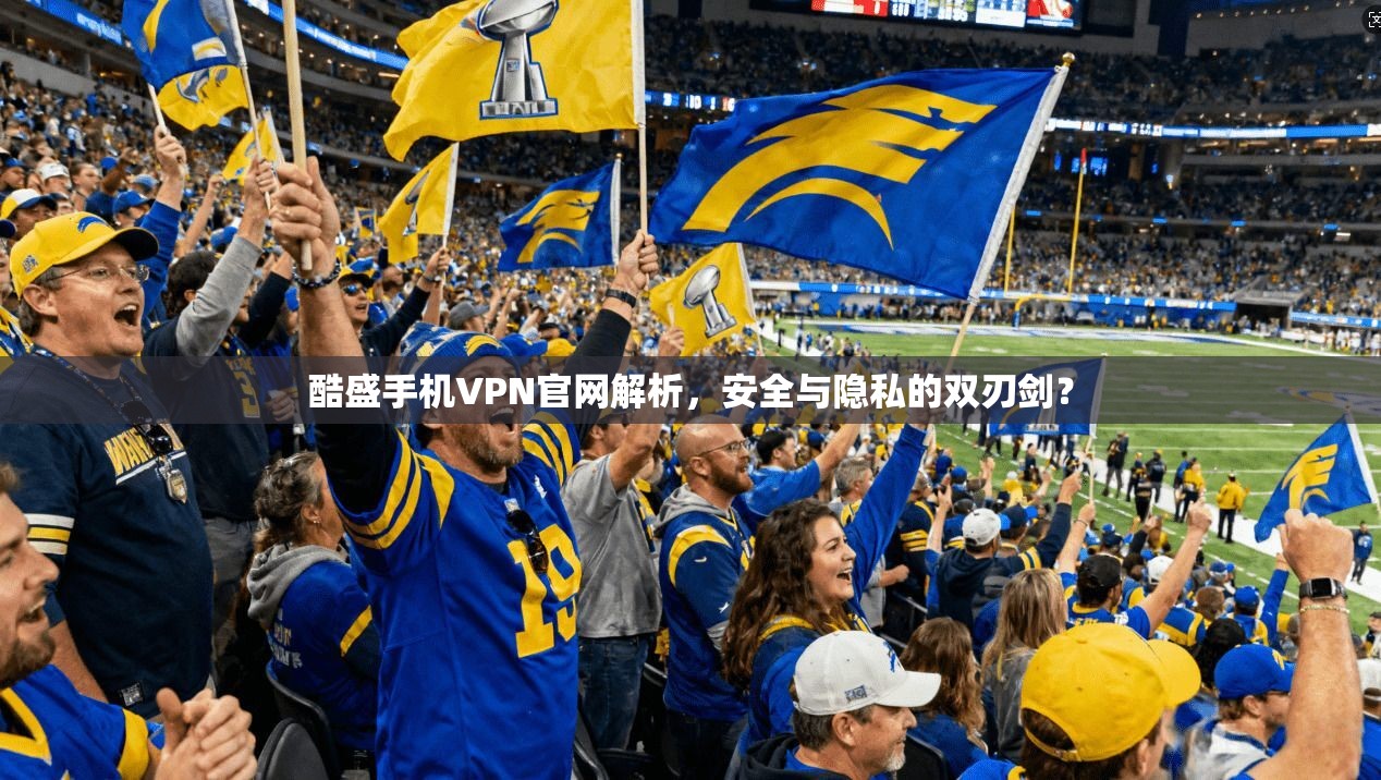 酷盛手机VPN官网解析，安全与隐私的双刃剑？