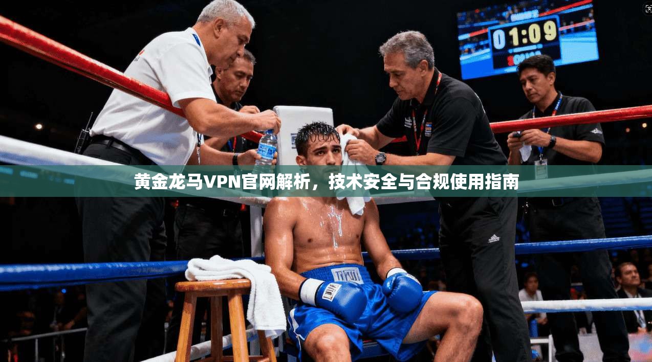 黄金龙马VPN官网解析，技术安全与合规使用指南
