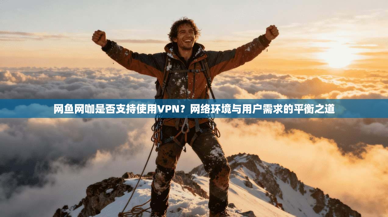 网鱼网咖是否支持使用VPN？网络环境与用户需求的平衡之道