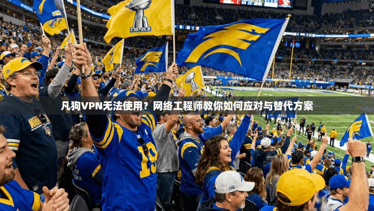 凡狗VPN无法使用？网络工程师教你如何应对与替代方案