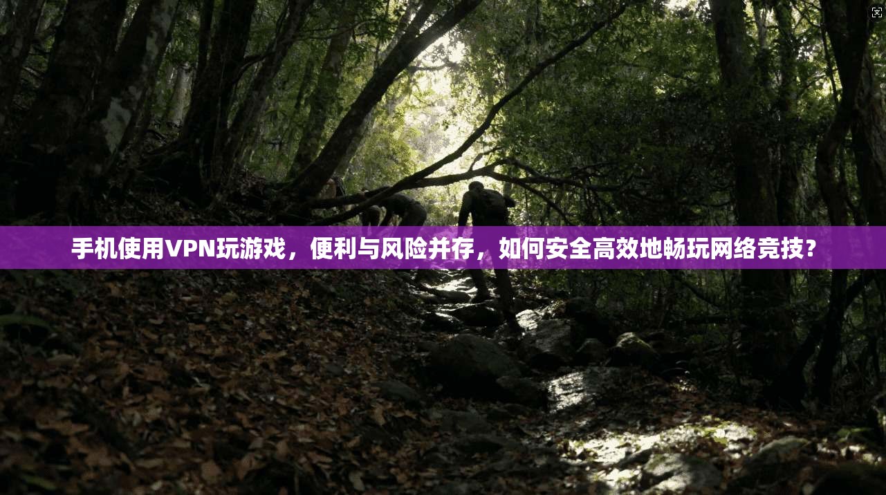 手机使用VPN玩游戏，便利与风险并存，如何安全高效地畅玩网络竞技？