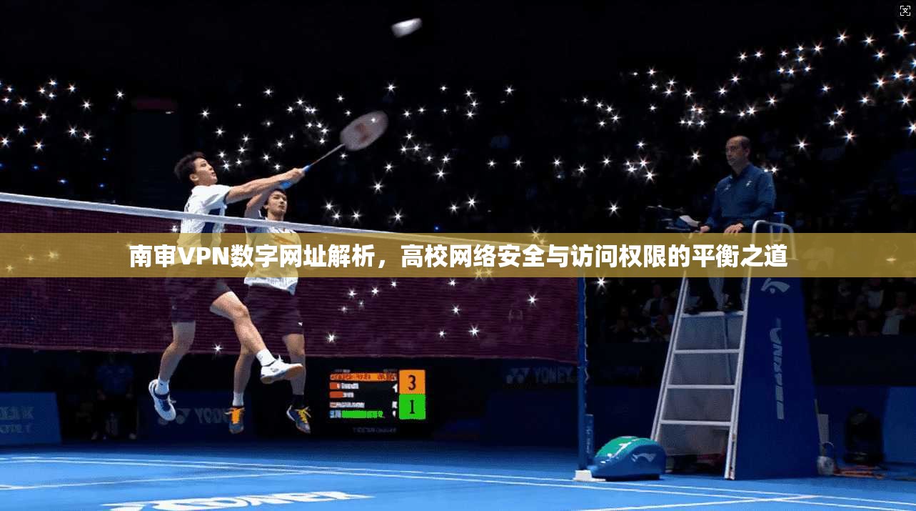 南审VPN数字网址解析，高校网络安全与访问权限的平衡之道