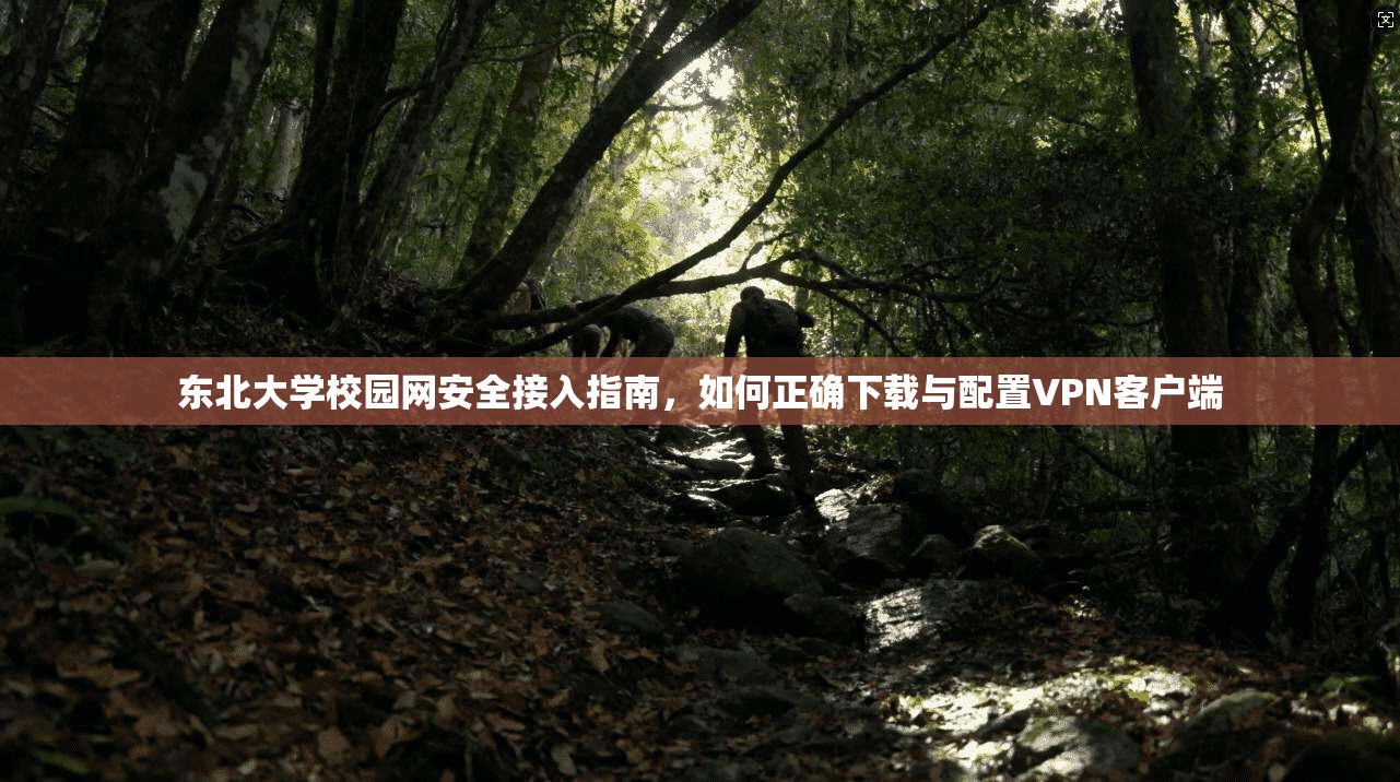东北大学校园网安全接入指南，如何正确下载与配置VPN客户端