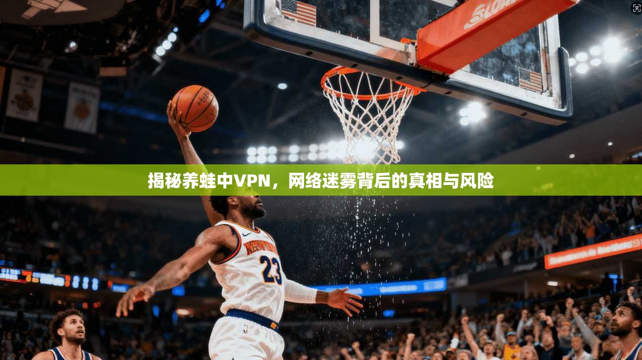 揭秘养蛙中VPN，网络迷雾背后的真相与风险