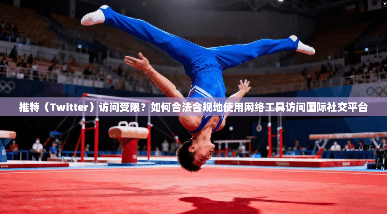 推特（Twitter）访问受限？如何合法合规地使用网络工具访问国际社交平台