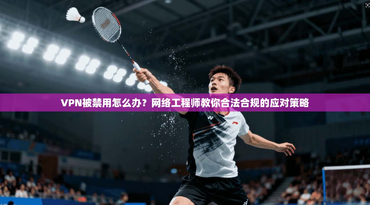 VPN被禁用怎么办？网络工程师教你合法合规的应对策略