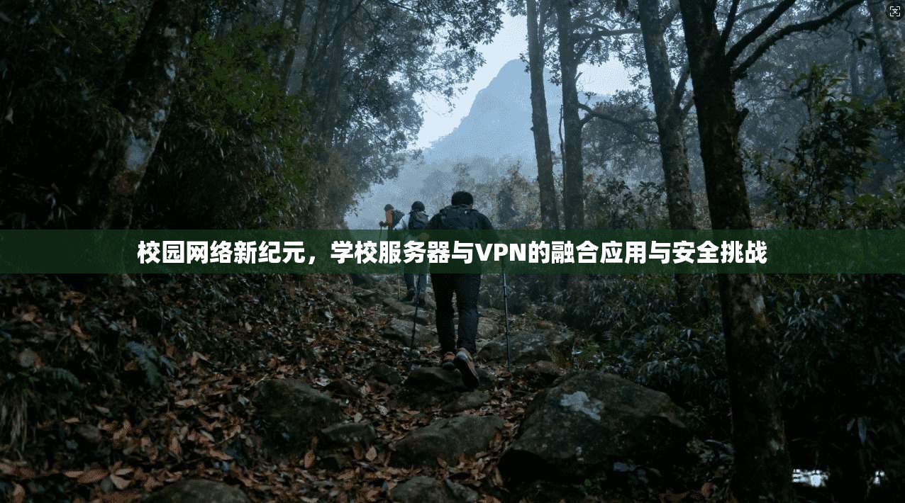 校园网络新纪元，学校服务器与VPN的融合应用与安全挑战