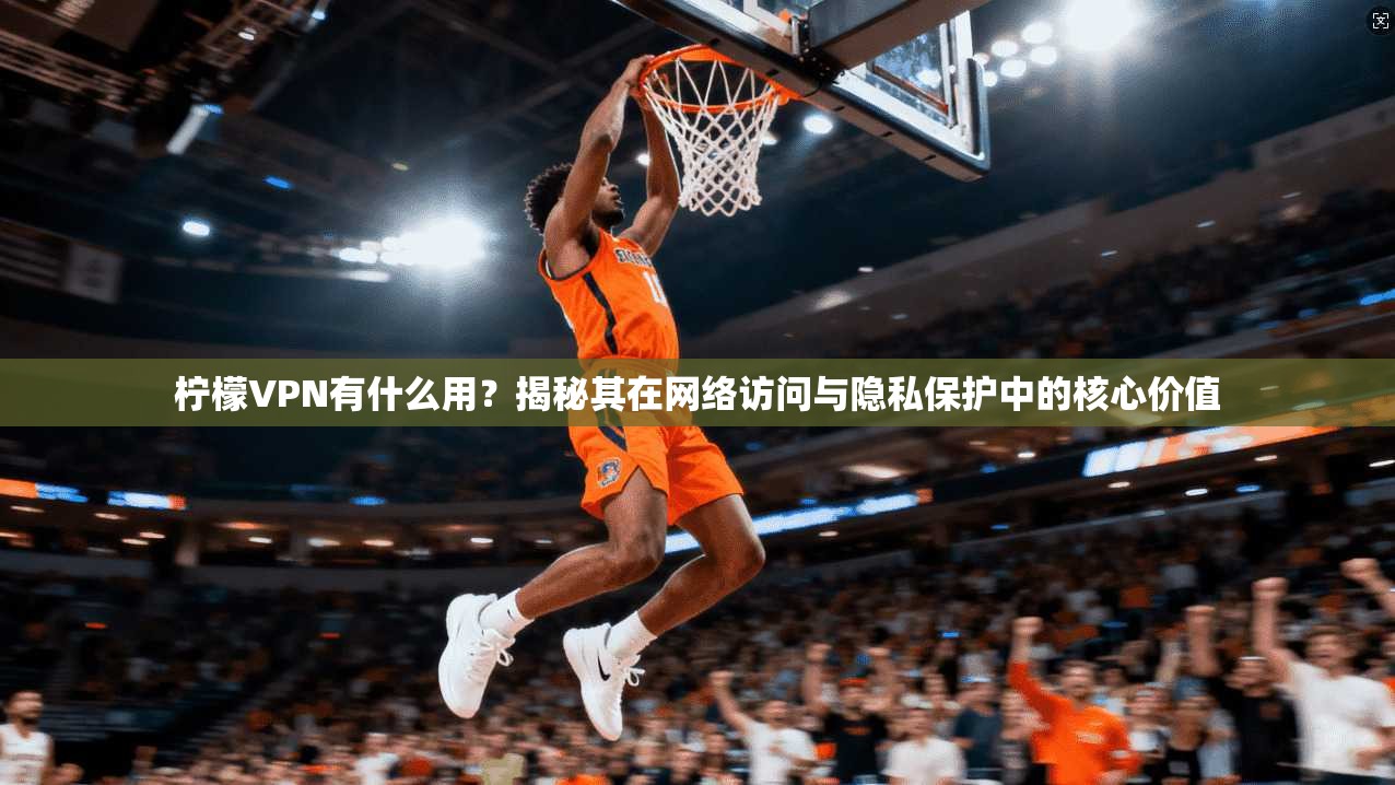 柠檬VPN有什么用？揭秘其在网络访问与隐私保护中的核心价值