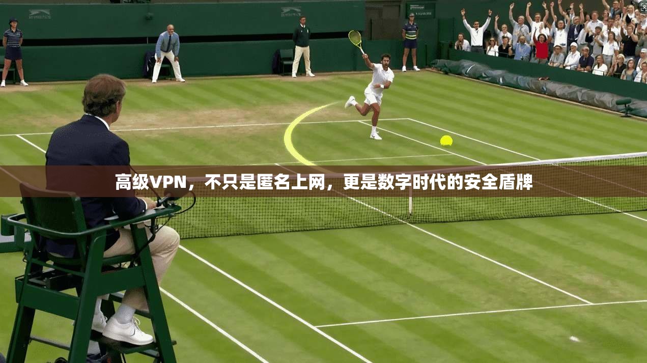 高级VPN，不只是匿名上网，更是数字时代的安全盾牌