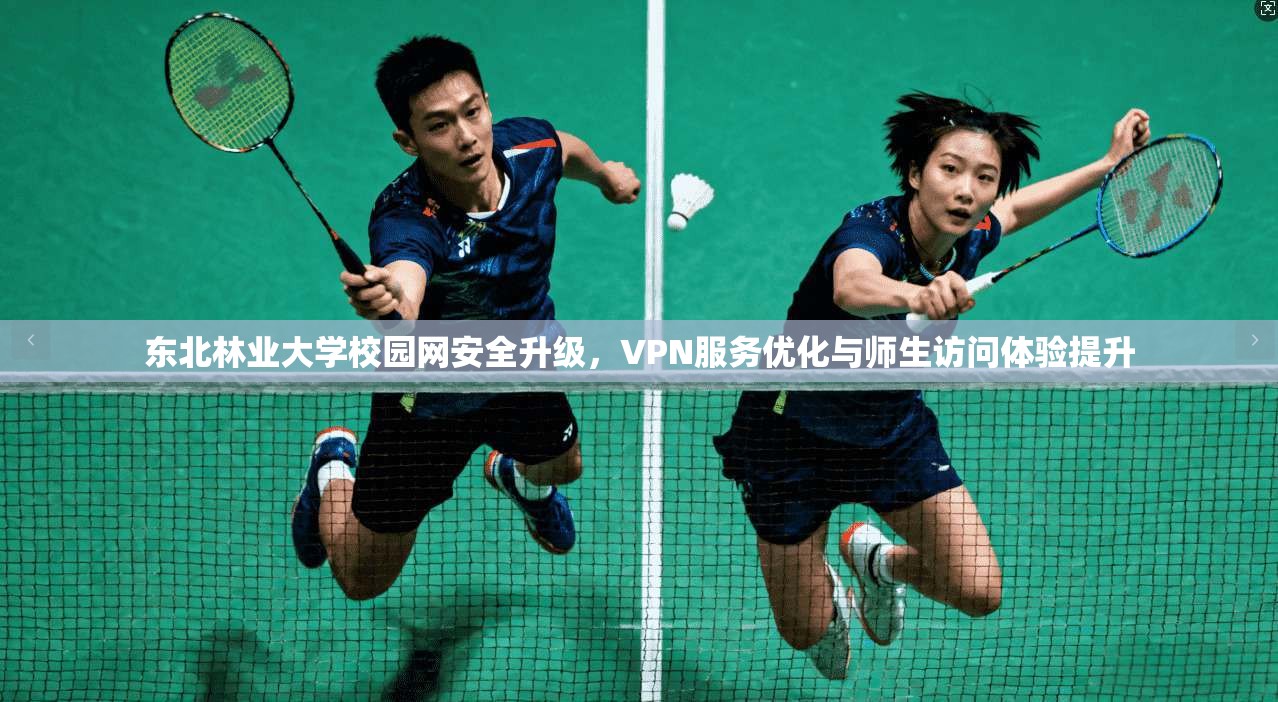 东北林业大学校园网安全升级，VPN服务优化与师生访问体验提升