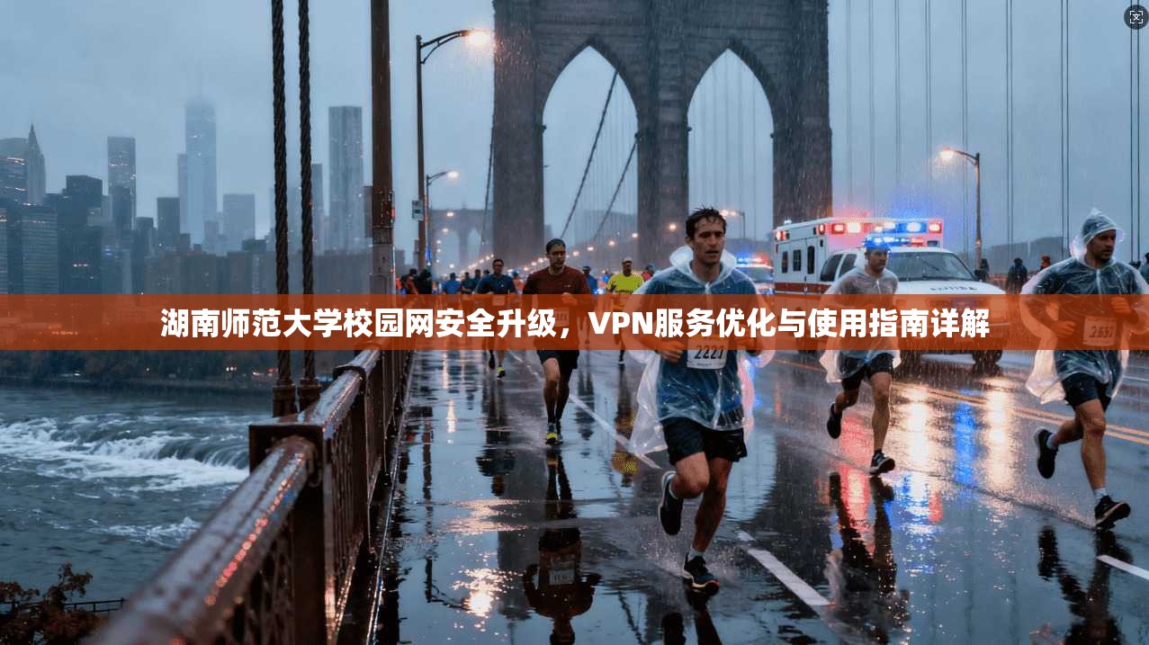 湖南师范大学校园网安全升级，VPN服务优化与使用指南详解
