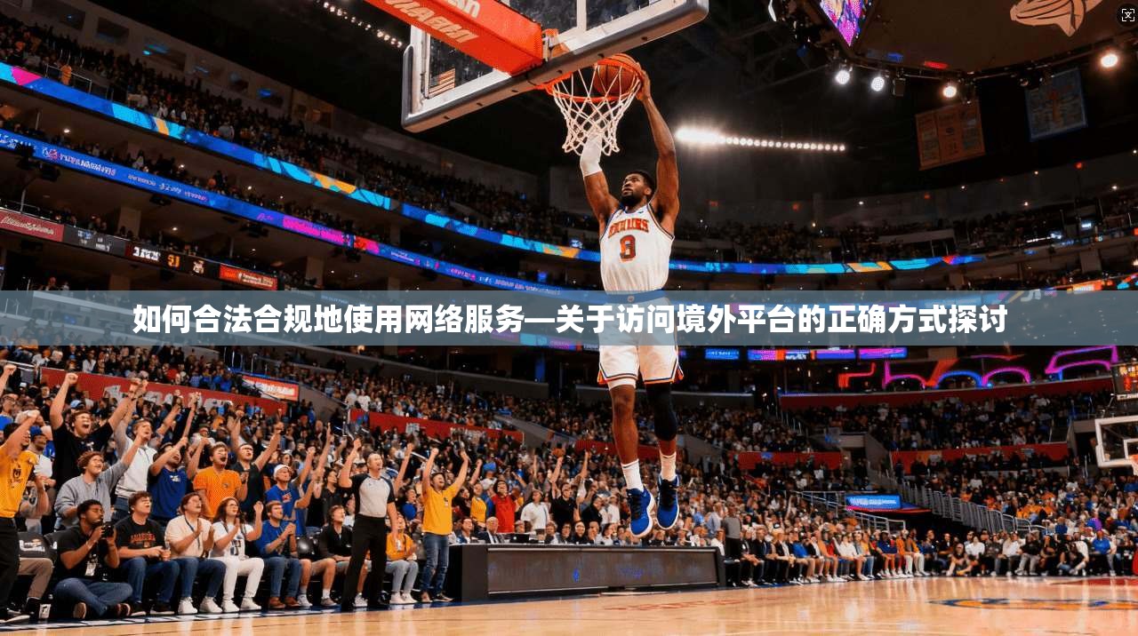 如何合法合规地使用网络服务—关于访问境外平台的正确方式探讨
