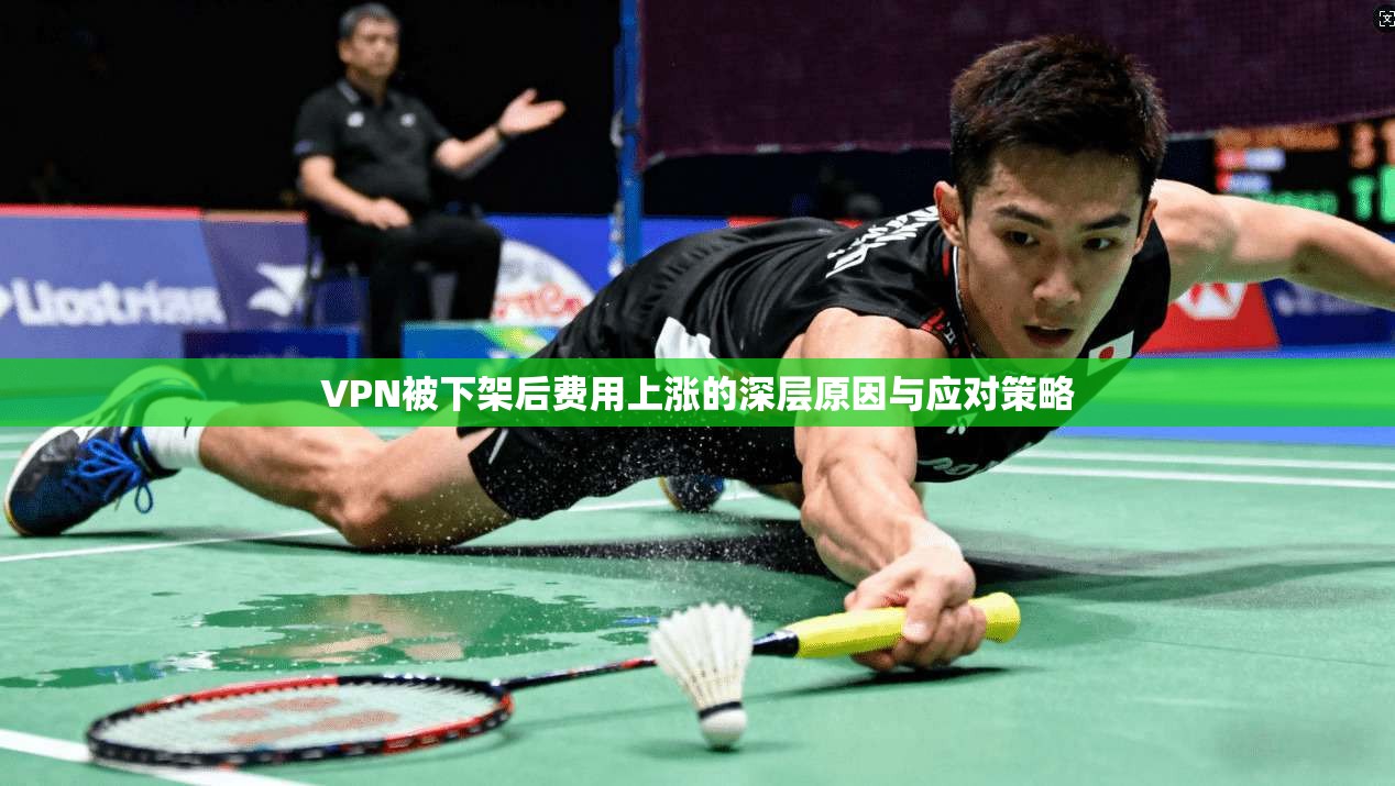 VPN被下架后费用上涨的深层原因与应对策略