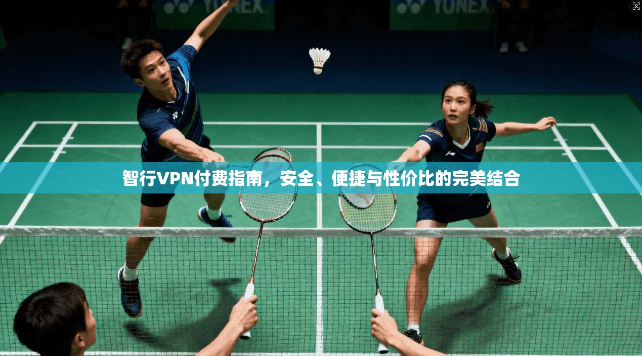 智行VPN付费指南，安全、便捷与性价比的完美结合