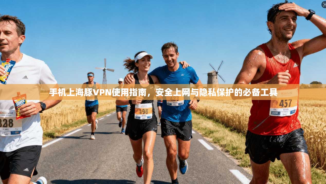 手机上海豚VPN使用指南，安全上网与隐私保护的必备工具
