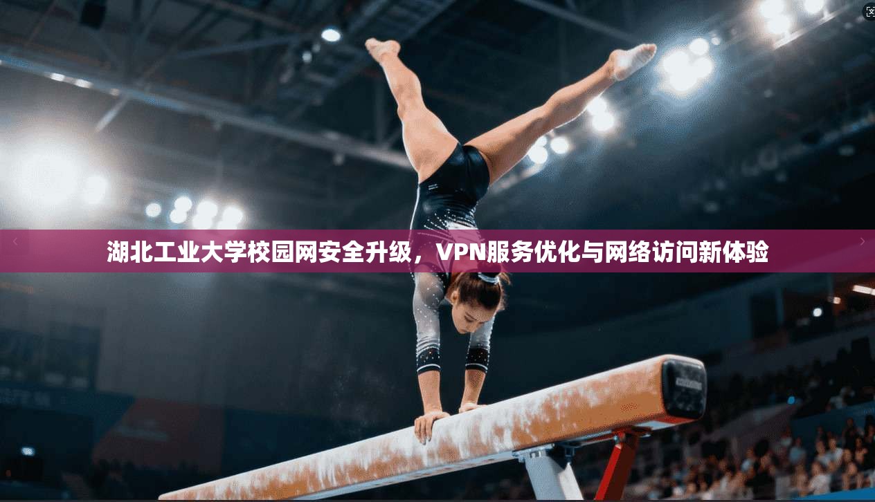 湖北工业大学校园网安全升级，VPN服务优化与网络访问新体验