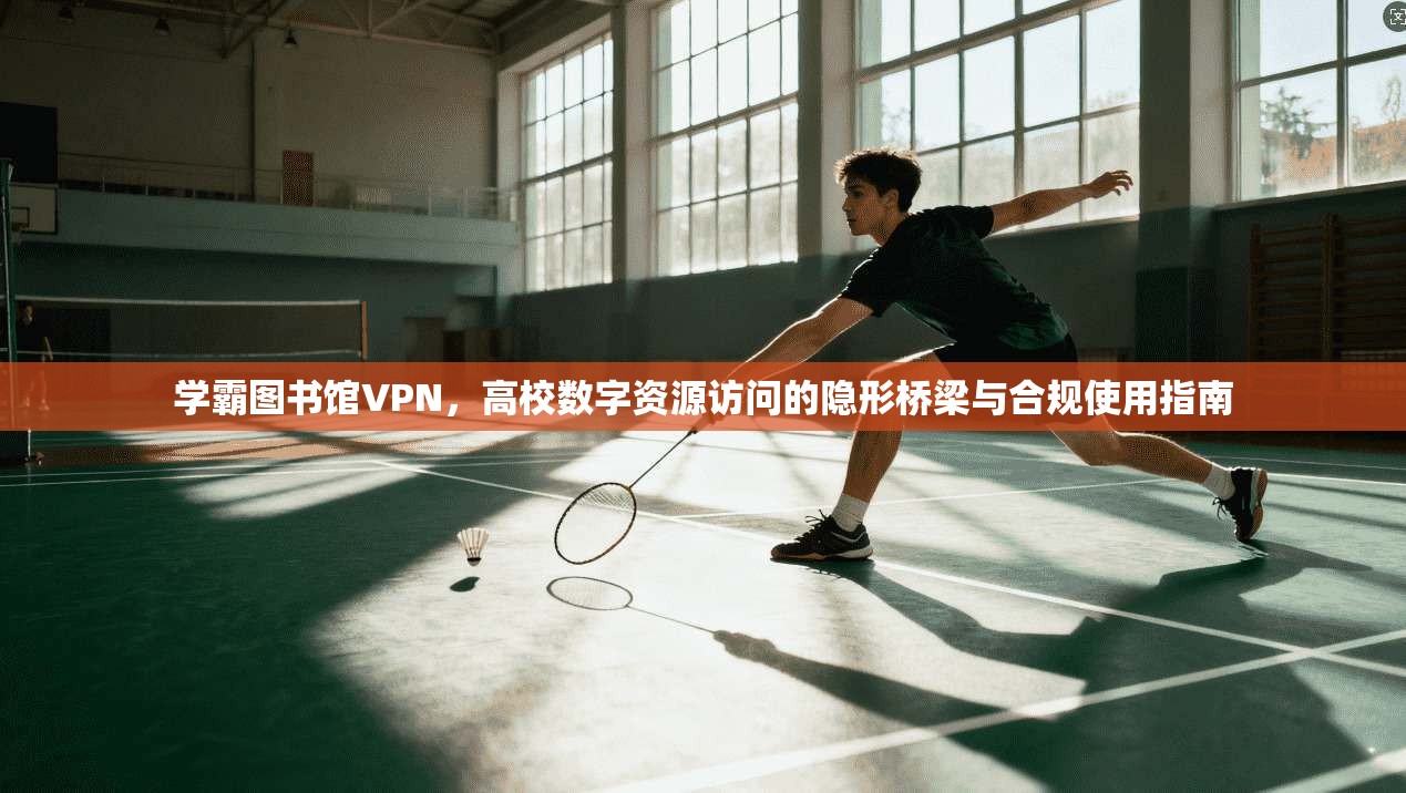 学霸图书馆VPN，高校数字资源访问的隐形桥梁与合规使用指南