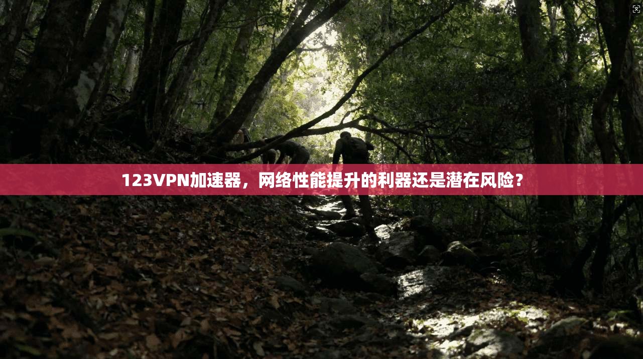 123VPN加速器，网络性能提升的利器还是潜在风险？
