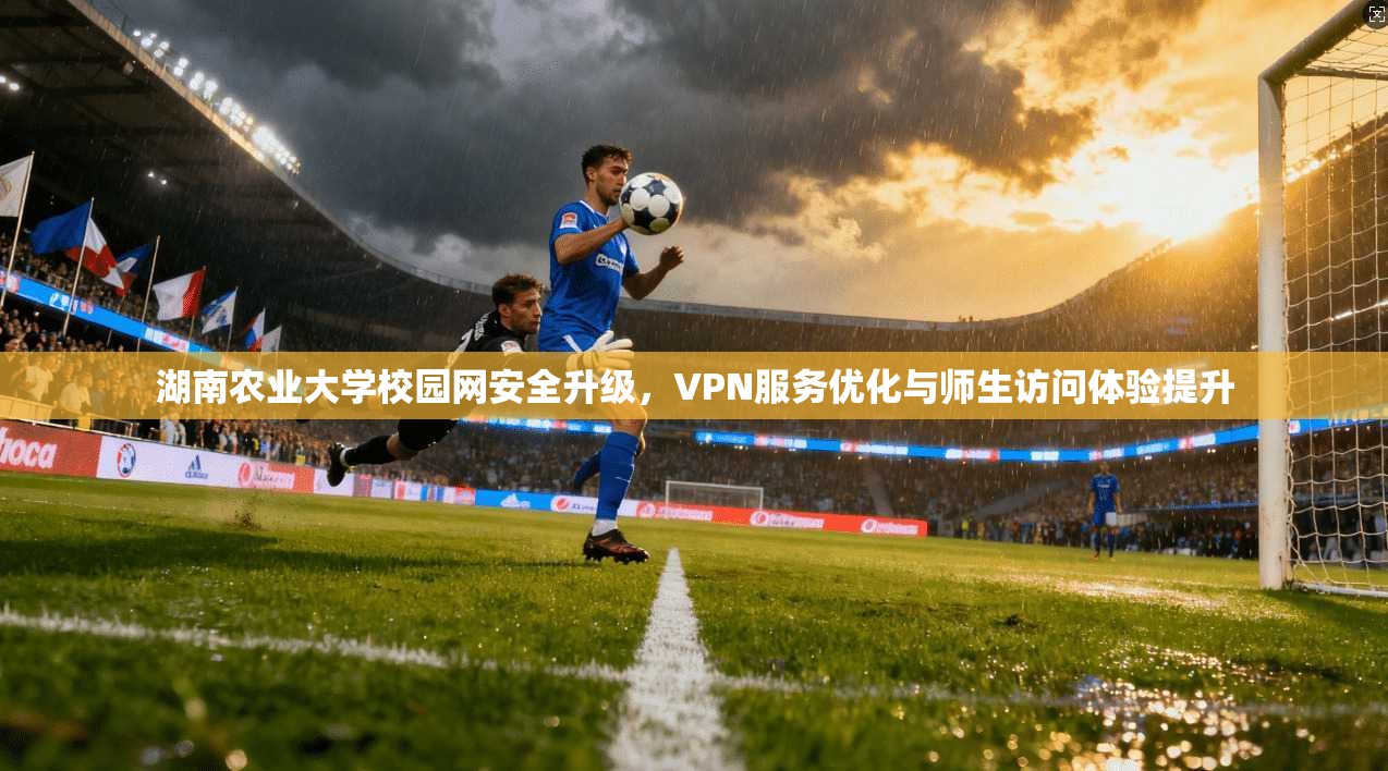 湖南农业大学校园网安全升级，VPN服务优化与师生访问体验提升