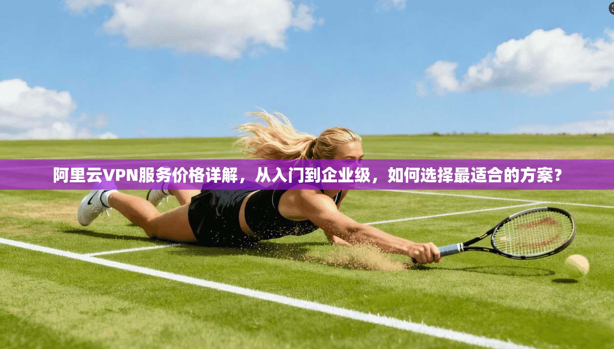 阿里云VPN服务价格详解，从入门到企业级，如何选择最适合的方案？