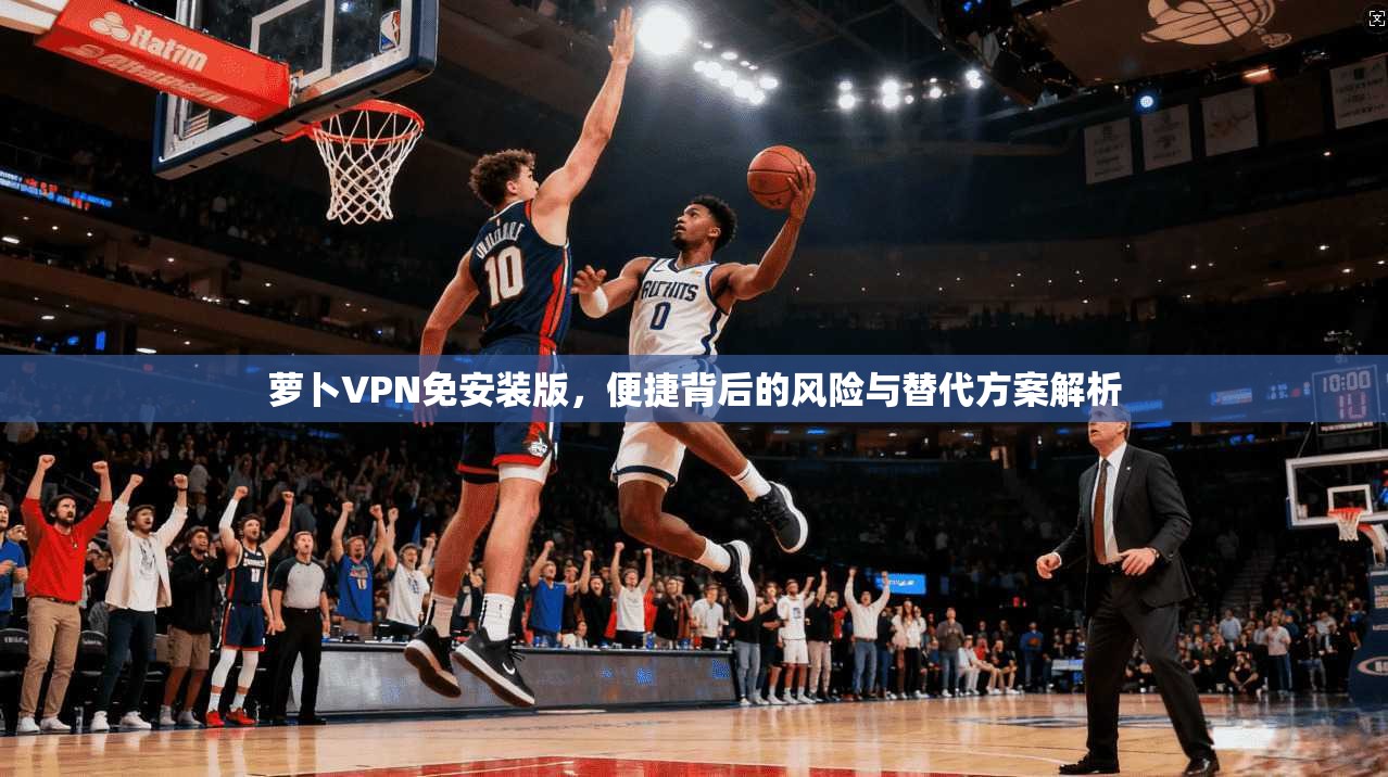 萝卜VPN免安装版，便捷背后的风险与替代方案解析