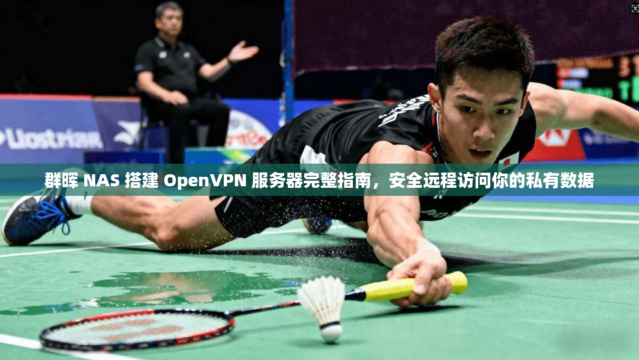 群晖 NAS 搭建 OpenVPN 服务器完整指南，安全远程访问你的私有数据