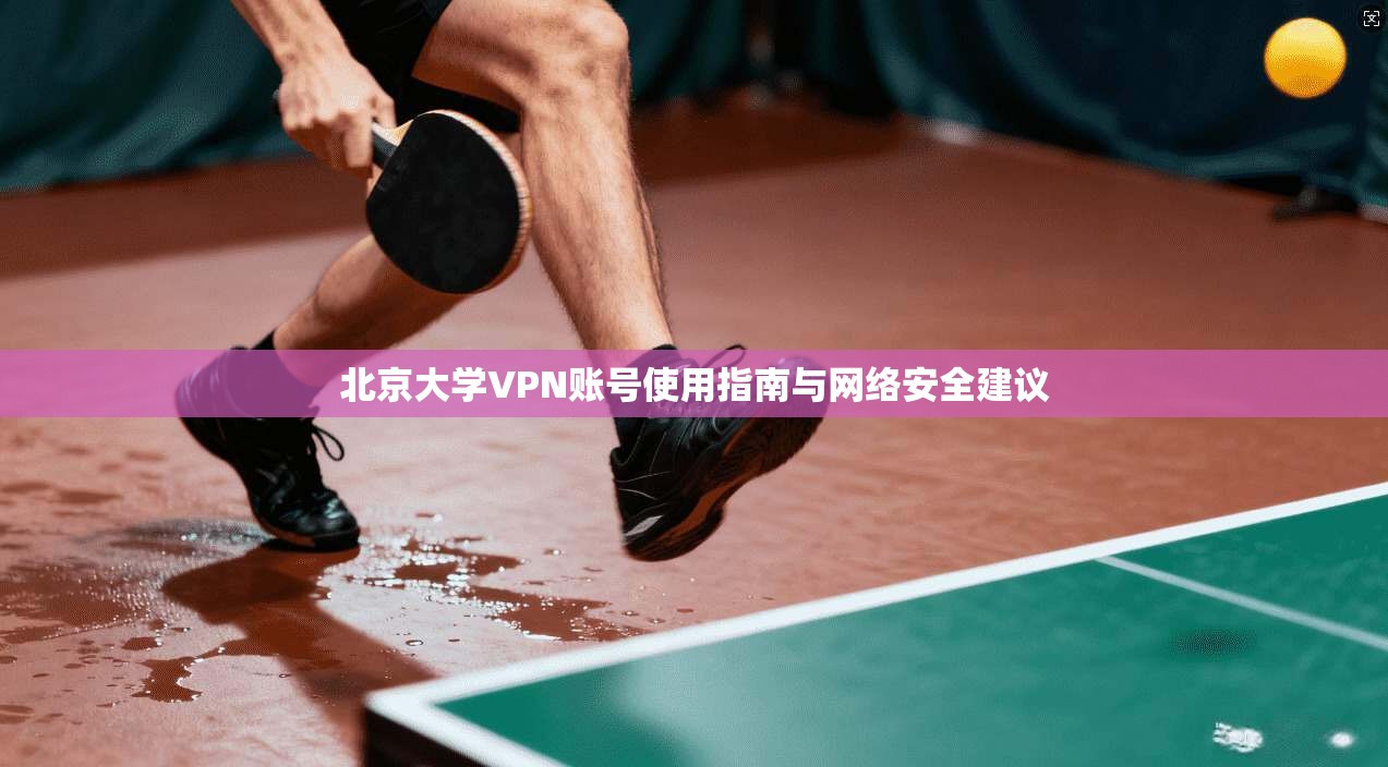 北京大学VPN账号使用指南与网络安全建议