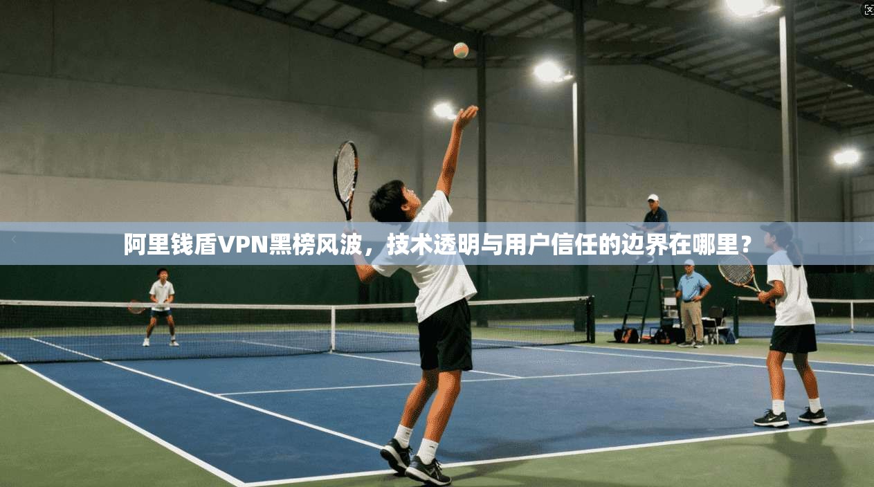 阿里钱盾VPN黑榜风波，技术透明与用户信任的边界在哪里？