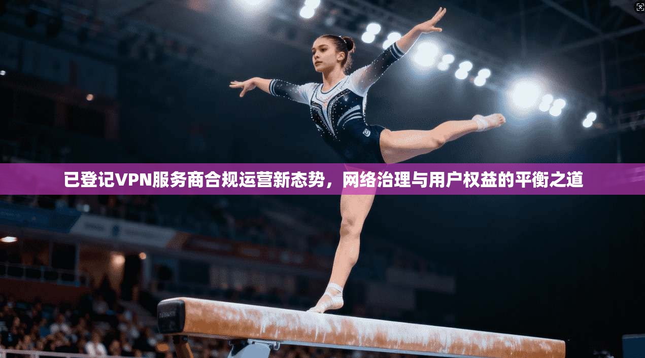 已登记VPN服务商合规运营新态势，网络治理与用户权益的平衡之道