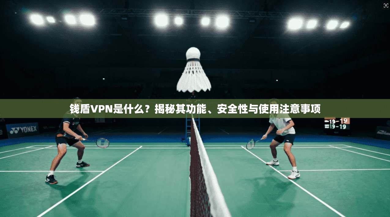 钱盾VPN是什么？揭秘其功能、安全性与使用注意事项