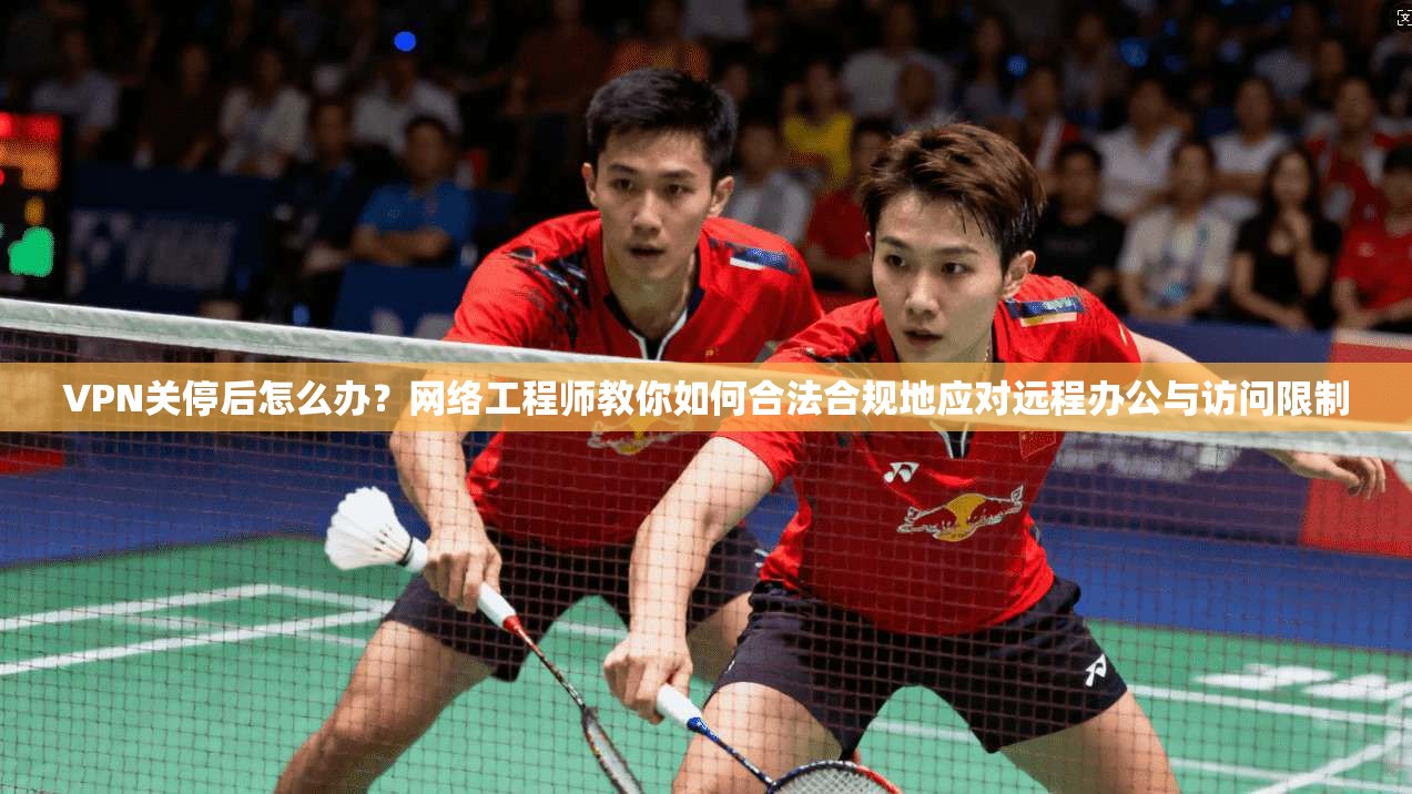 VPN关停后怎么办？网络工程师教你如何合法合规地应对远程办公与访问限制
