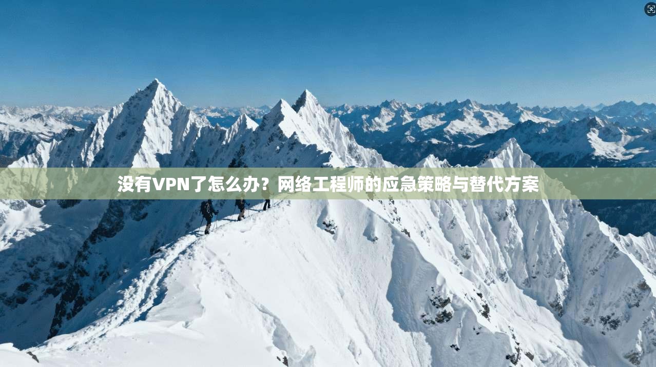没有VPN了怎么办？网络工程师的应急策略与替代方案