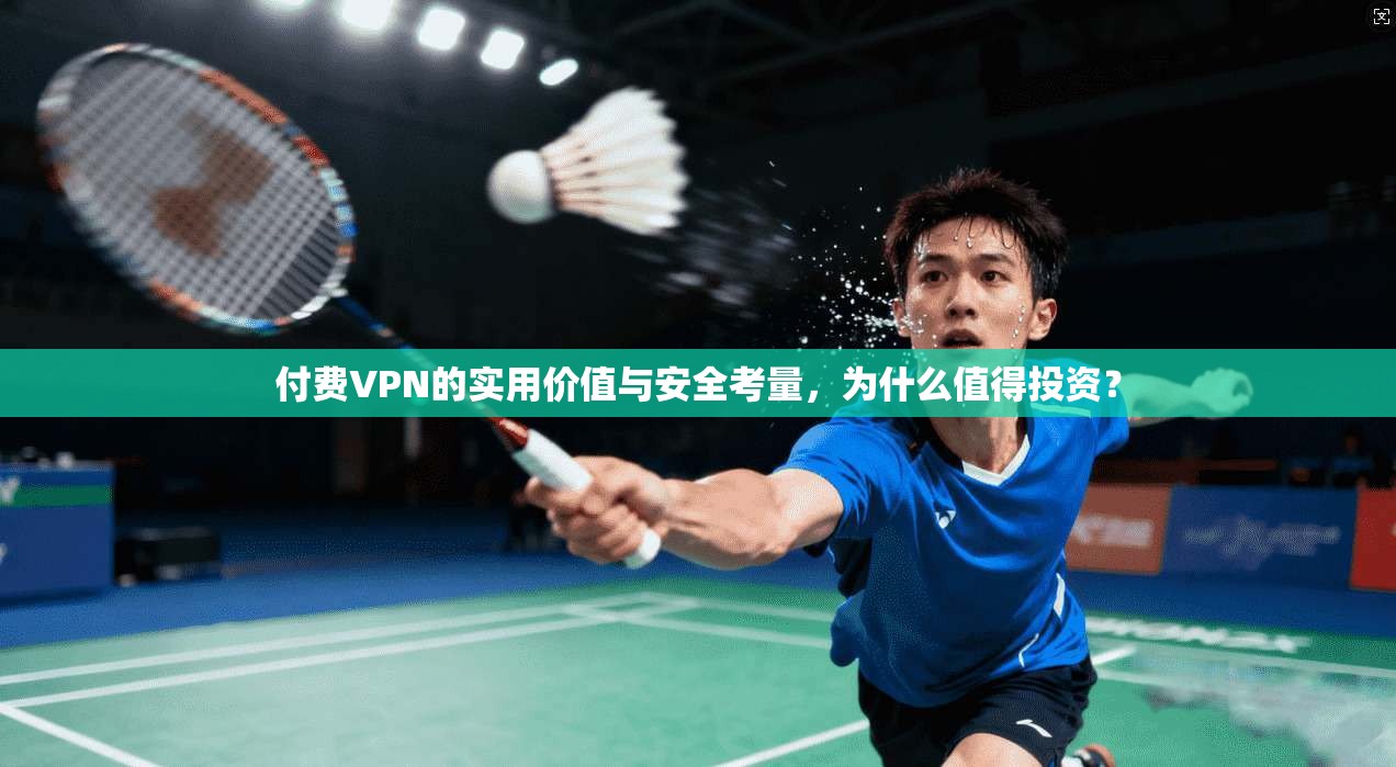 付费VPN的实用价值与安全考量，为什么值得投资？