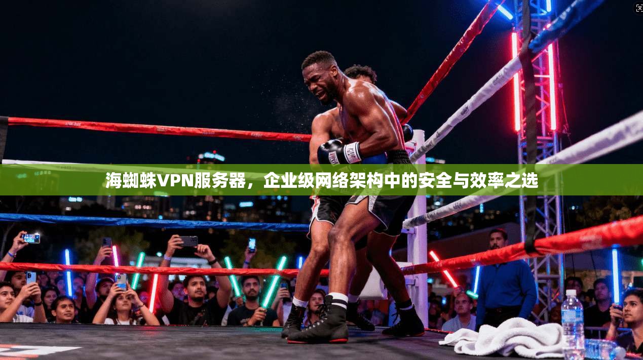 海蜘蛛VPN服务器，企业级网络架构中的安全与效率之选