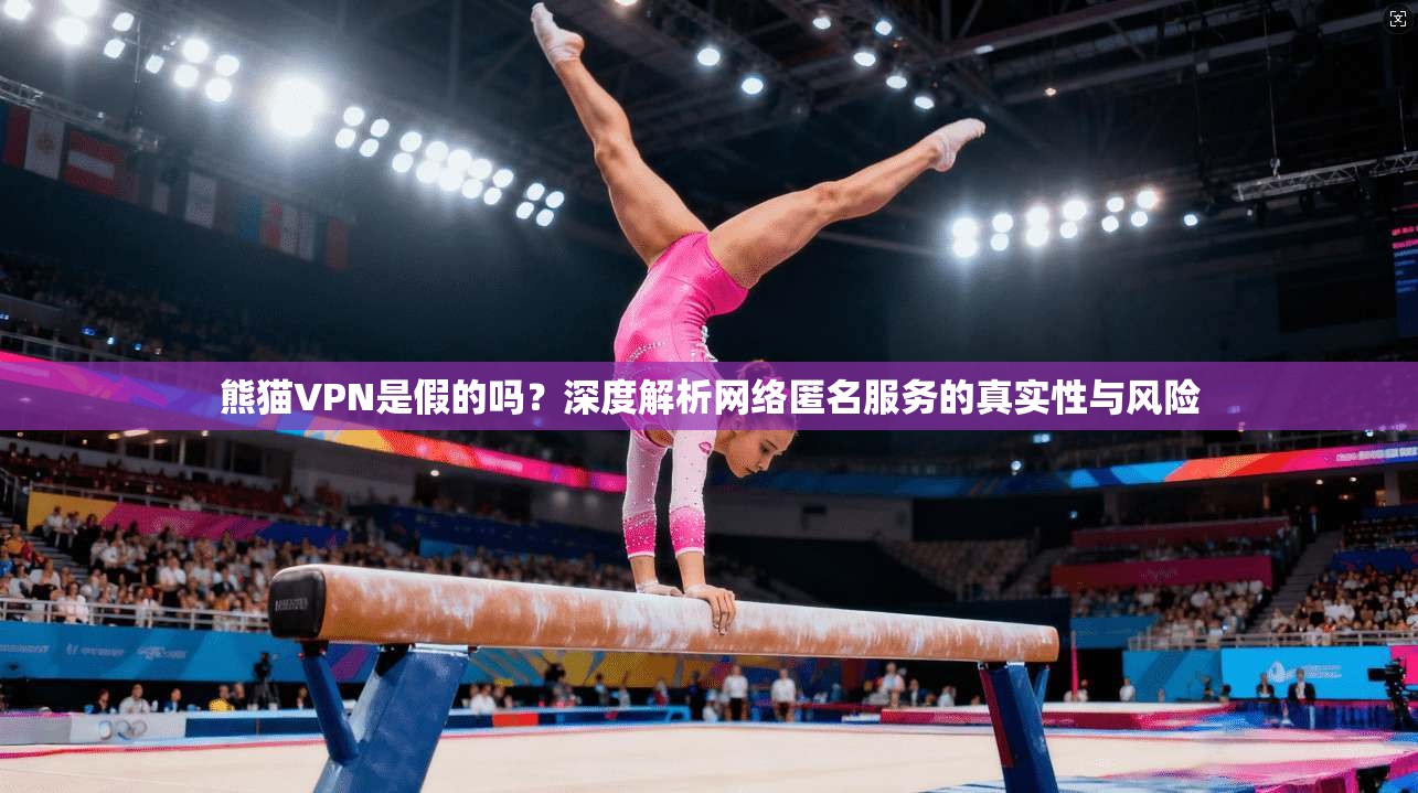 熊猫VPN是假的吗？深度解析网络匿名服务的真实性与风险