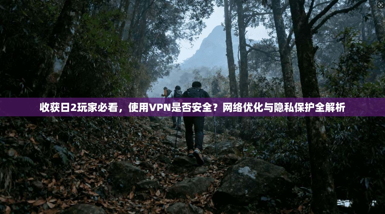 收获日2玩家必看，使用VPN是否安全？网络优化与隐私保护全解析