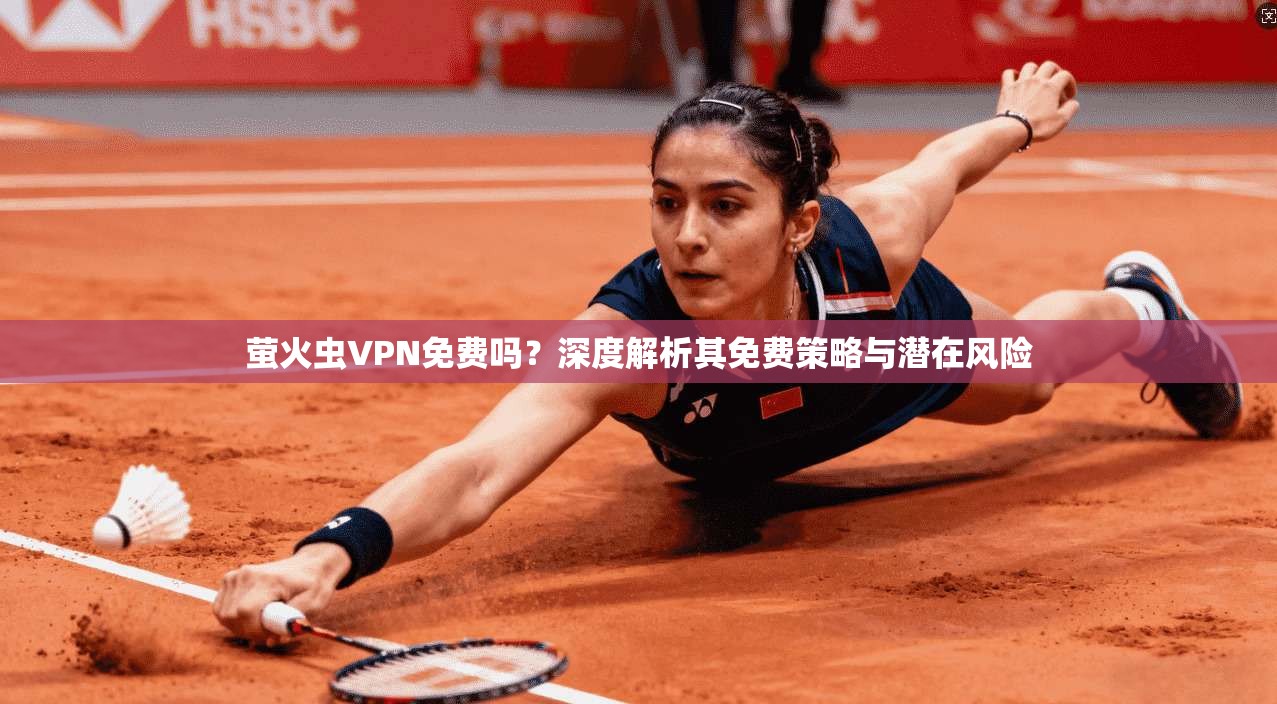 萤火虫VPN免费吗？深度解析其免费策略与潜在风险