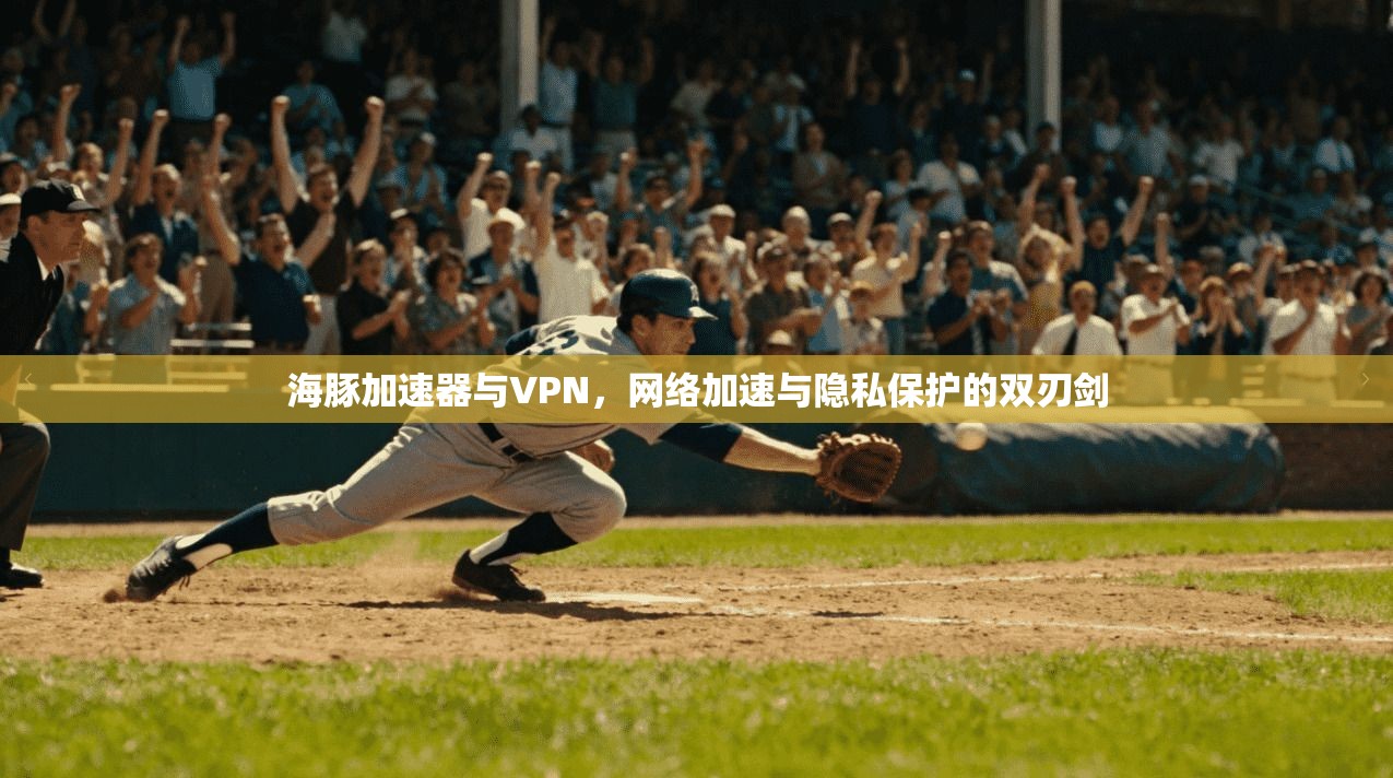 海豚加速器与VPN，网络加速与隐私保护的双刃剑
